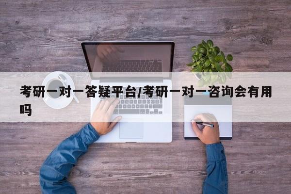 考研一对一答疑平台/考研一对一咨询会有用吗