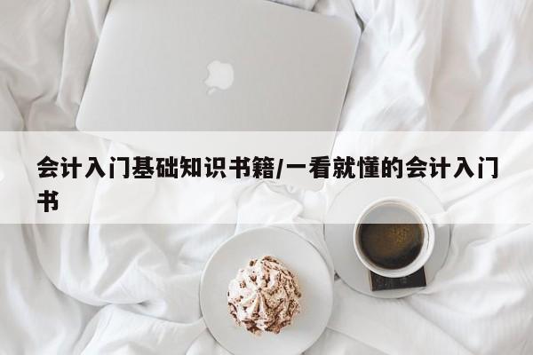 会计入门基础知识书籍/一看就懂的会计入门书