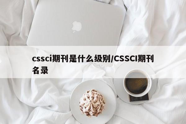 cssci期刊是什么级别/CSSCI期刊名录