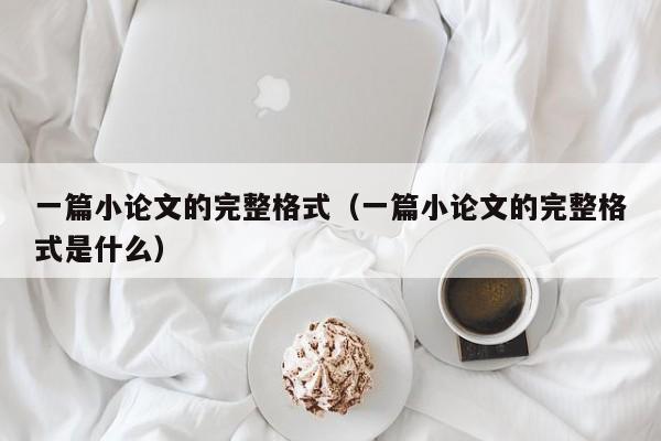 一篇小论文的完整格式(一篇小论文的完整格式是什么)