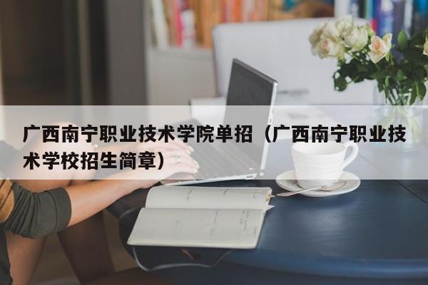 广西南宁职业技术学院单招(广西南宁职业技术学校招生简章)