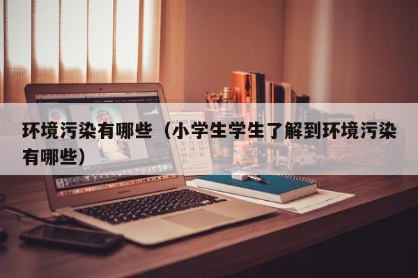 环境污染有哪些(小学生学生了解到环境污染有哪些)