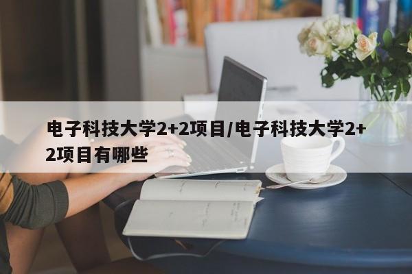 电子科技大学2+2项目/电子科技大学2+2项目有哪些