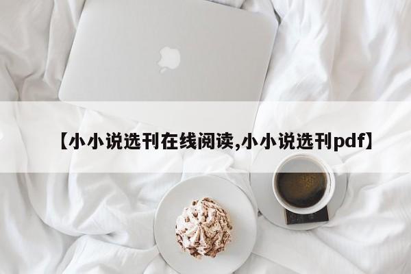 【小小说选刊在线阅读,小小说选刊pdf】
