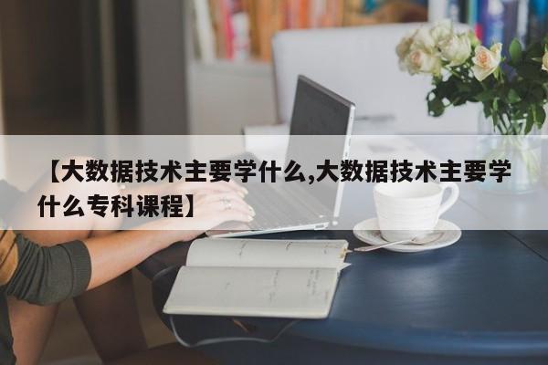 【大数据技术主要学什么,大数据技术主要学什么专科课程】